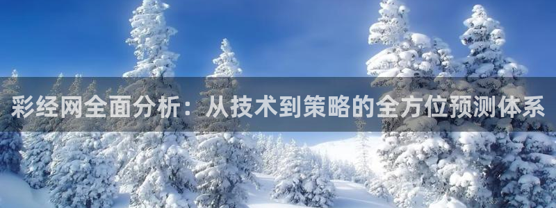 壹号官方app下载安装：彩经网全面分析：从技术到策略的全方位预测体系