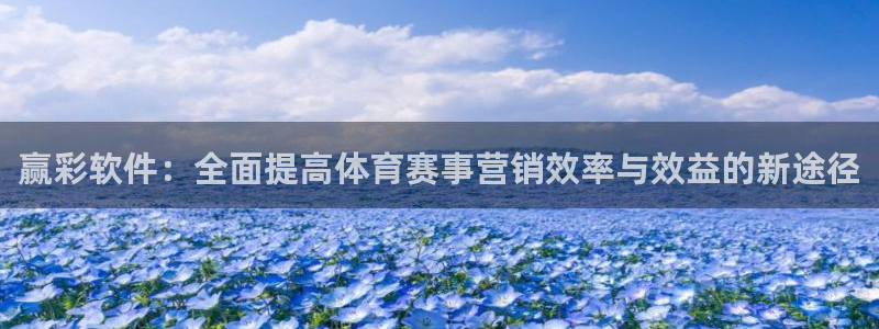 sunbet注册：赢彩软件：全面提高体育赛事营销效率与效益的新途径