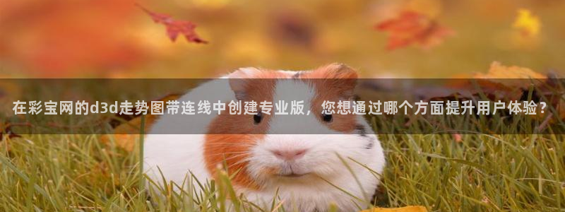 壹号大舞台下载：在彩宝网的d3d走势图带连线中创建专业版，您想通过哪个方面提升用户体验？