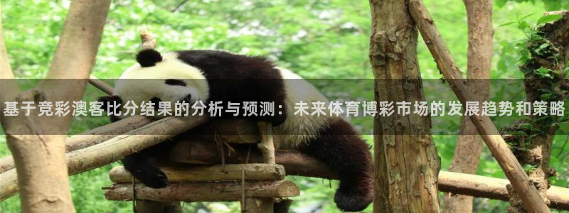 壹号app官网：基于竞彩澳客比分结果的分析与预测：未来体育博彩市场的发展趋势和策略